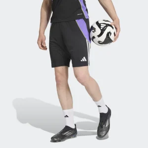 adidas Pantalón Corto Hombre Tiro24 Trsho
