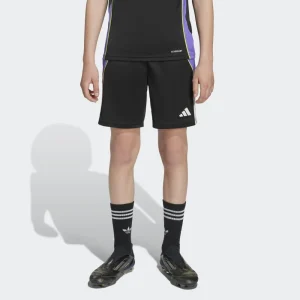 adidas Pantalón Corto Niño Tiro24 Trshoy