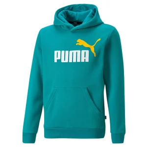 Puma Essential+ 2 Col Big Logo