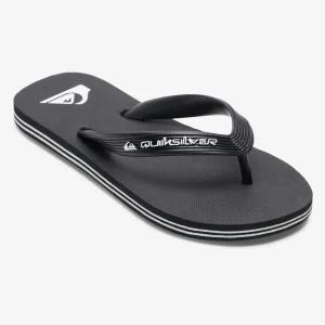 Quiksilver Molokai Core