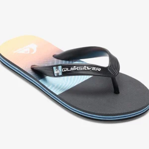 Quiksilver Molokai Panel