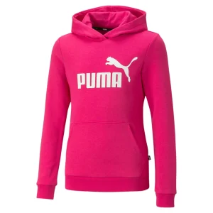 Puma Essesential Logo Hoodie
