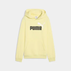 Sudadera Con Capucha Puma Ess 2 Logo Fleece