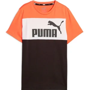 Puma Essential Block Tee