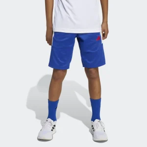 adidas Pantalón Corto House Of Tiro (adolescentes)