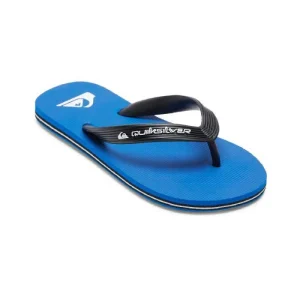 Quiksilver Molokai Core