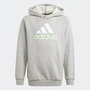 Camiseta Niño U Bl 2 Hoodie adidas Sportswear